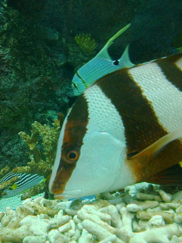 2013-06-18 14.19.43.jpeg image